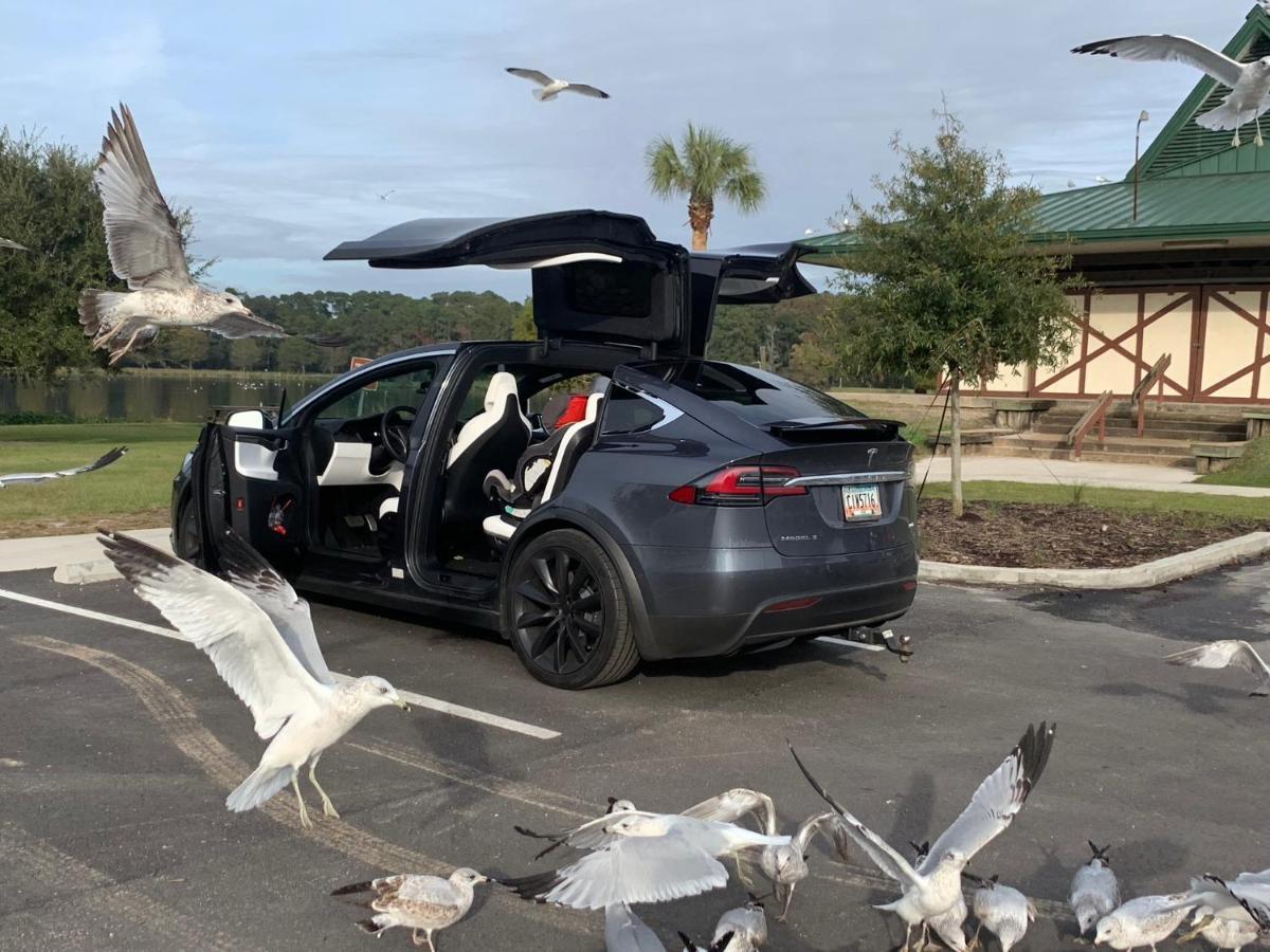 Econo Lodge Choice Hotels I 95 Savannah Gateway 24 Hour Fitness Center On Site Guest Laundry On Site Perkins Restaurant Georgetown Eksteriør bilde